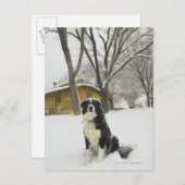 Hond zit in sneeuw, achter met een blokhut briefkaart (Voorkant / Achterkant)