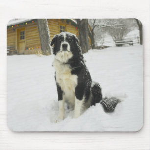 Hond zit in sneeuw, achter met een blokhut muismat