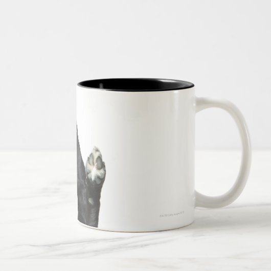 Hond zit met poten omhoog tweekleurige koffiemok (Rechts)