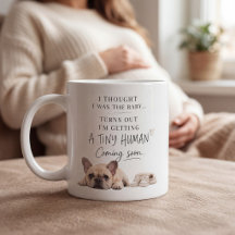 Hond Zwangerschap Aankondiging Franse Bulldog