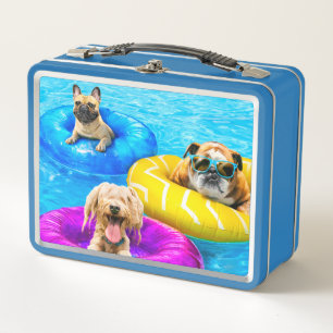 Hond Zwembad Feestje