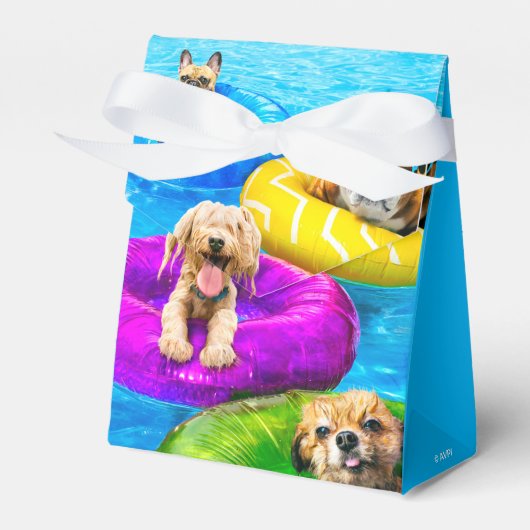 Hond Zwembad Feestje Bedankdoosjes (Voorkant Zijde)