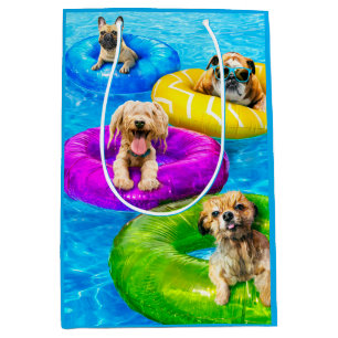 Hond Zwembad Feestje Medium Cadeauzakje