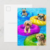 Hond Zwembad Feestje Uitnodiging Briefkaart (Voorkant / Achterkant)