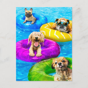 Hond Zwembad Feestje Uitnodiging Briefkaart