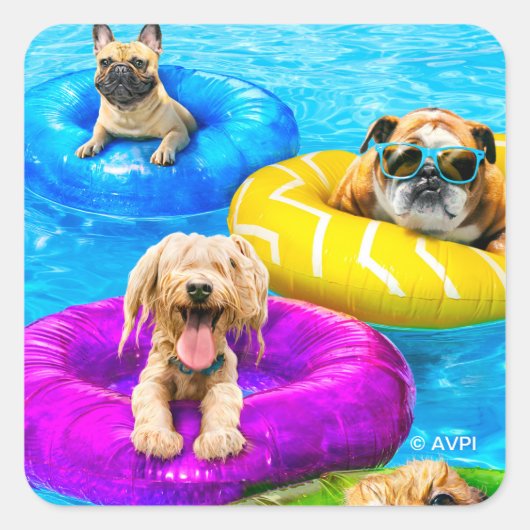 Hond Zwembad Feestje Vierkante Sticker (Voorkant)