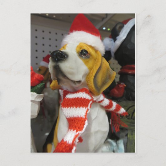 Honddecoratie Briefkaart (Voorkant)