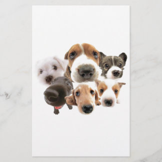 Honden