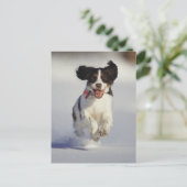 Honden - 1 briefkaart (Staand voorkant)
