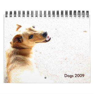 Honden 2009 kalender