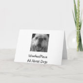HONDEN AANMOEDIGEN HET GENEZEN KAART (Achterkant)