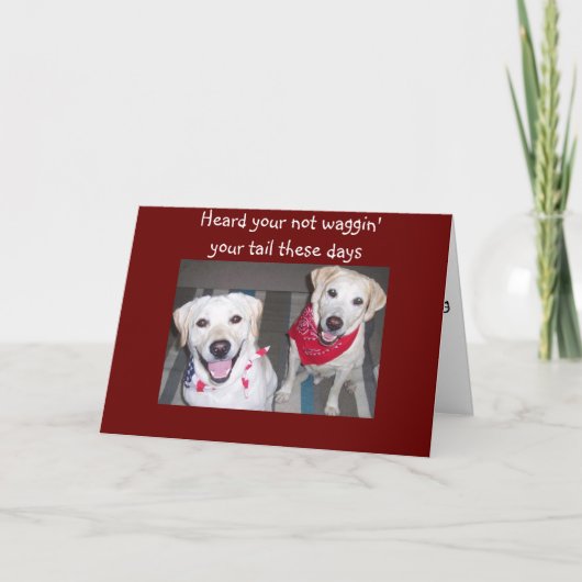 HONDEN AANMOEDIGEN HET GENEZEN KAART (Voorkant)