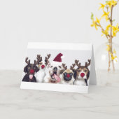 Honden als kerstkaart voor rendieren kaart (Gele Bloem)
