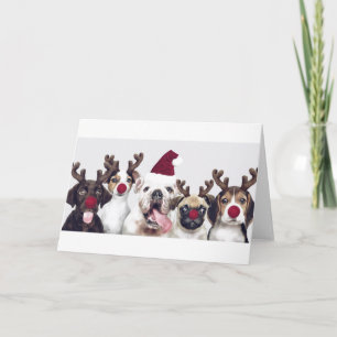 Honden als kerstkaart voor rendieren kaart
