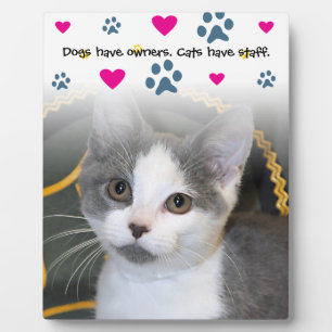 Honden beschikken over personeel in eigenaarscatte fotoplaat