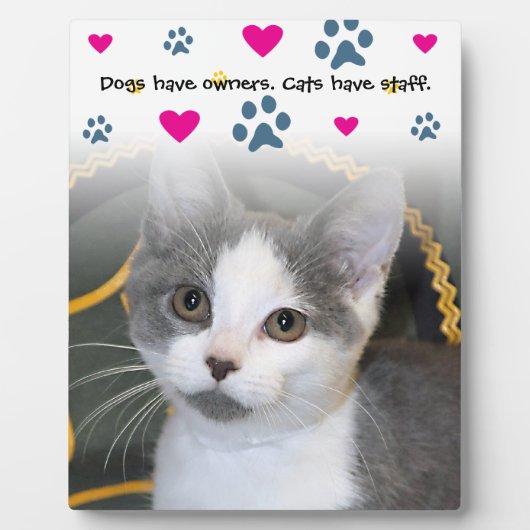 Honden beschikken over personeel in eigenaarscatte fotoplaat (Voorkant)