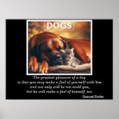 Honden Beste Vriend Kitten Knuffels Poster (Voorkant)