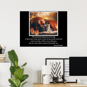 Honden Beste Vriend Kitten Knuffels Poster