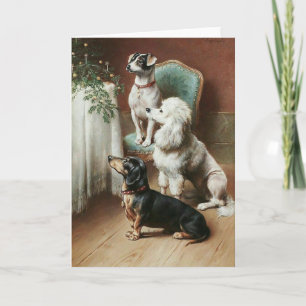 - Honden bewonderen een kerstboom, Feestdagen Kaart