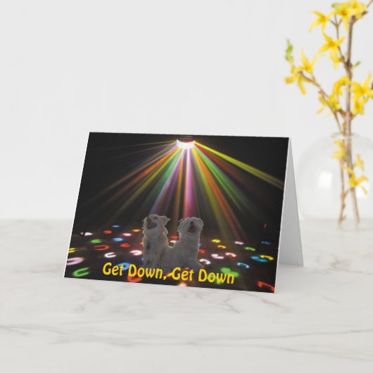 Honden bij Disco Kaart (Gele Bloem)