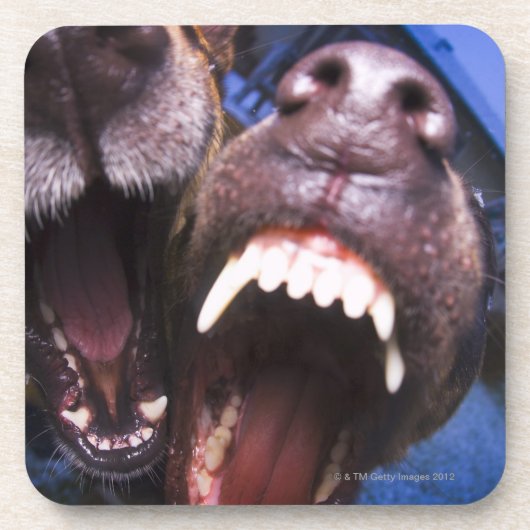 Honden blaffen onderzetter (Voorkant)