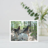 honden briefkaart (Staand voorkant)