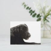 Honden Briefkaart (Staand voorkant)