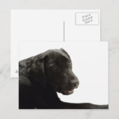 Honden Briefkaart (Voorkant / Achterkant)
