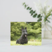 Honden Briefkaart (Staand voorkant)