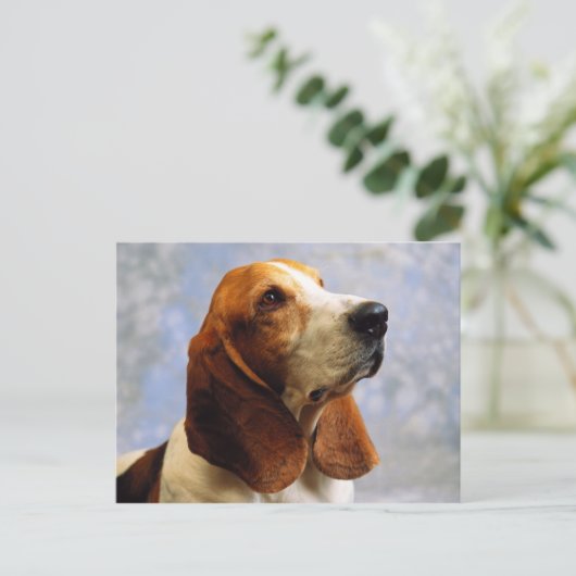 Honden Briefkaart (Staand voorkant)