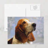 Honden Briefkaart (Voorkant / Achterkant)