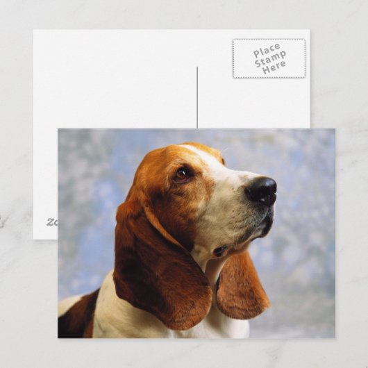 Honden Briefkaart (Voorkant / Achterkant)