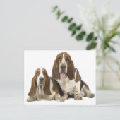 Honden Briefkaart (Staand voorkant)