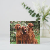 Honden Briefkaart (Staand voorkant)