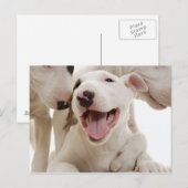 Honden Briefkaart (Voorkant / Achterkant)