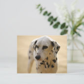 Honden Briefkaart (Staand voorkant)