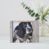 Honden Briefkaart (Staand voorkant)