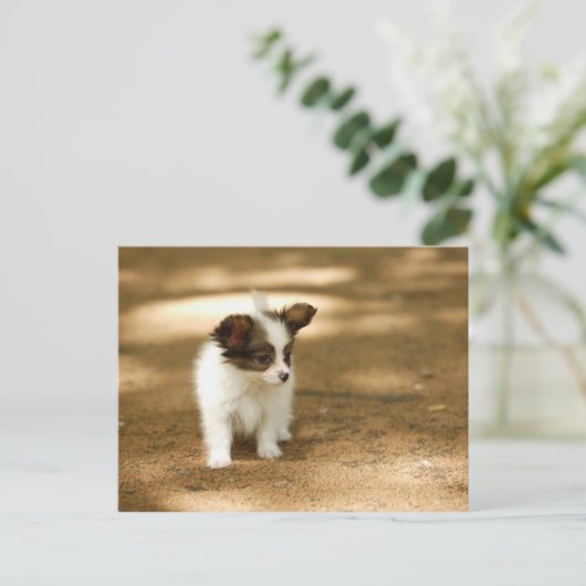 Honden Briefkaart (Staand voorkant)