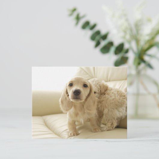 Honden Briefkaart (Staand voorkant)