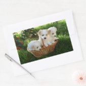Honden, Coton de Tulear, Puppy's Rechthoekige Sticker (Envelop)