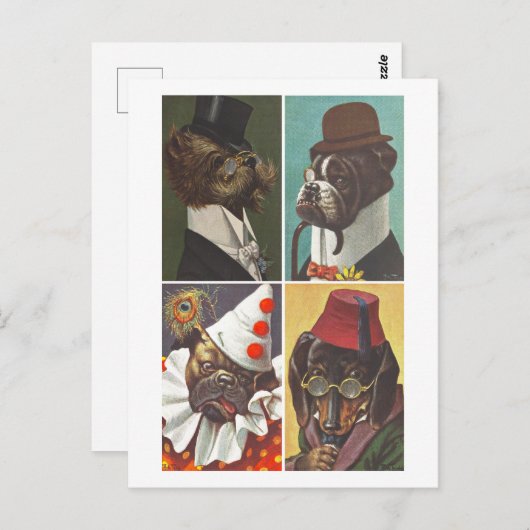  honden die Briefkaart dragen (Voorkant / Achterkant)