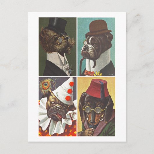  honden die Briefkaart dragen (Voorkant)