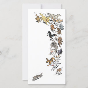 Honden die een kat achtervolgen bedankkaart