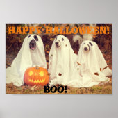 HONDEN DIE GHOST-KOSTEN HALLOWEEN-POSTER BEKIJKEN POSTER (Voorkant)