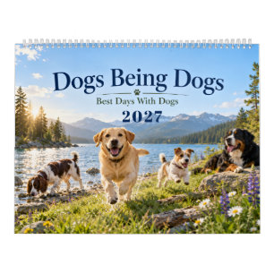 Honden Die Honden Zijn Speelse Huisdierfotografie Kalender