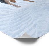 Honden die in de sneeuw spelen poster (Hoek)