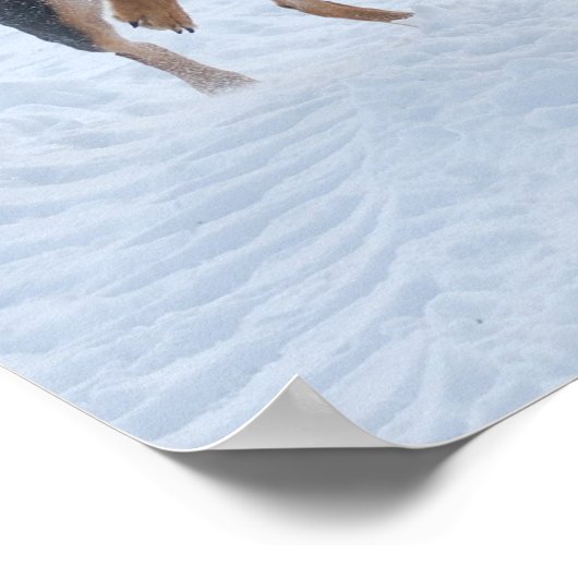 Honden die in de sneeuw spelen poster (Hoek)