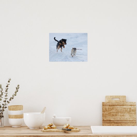 Honden die in de sneeuw spelen poster (Keuken)