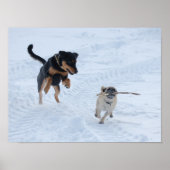 Honden die in de sneeuw spelen poster (Voorkant)