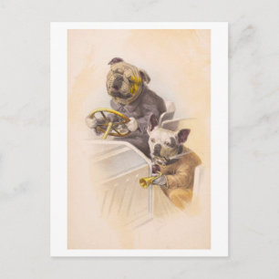  honden die in een auto rijden briefkaart